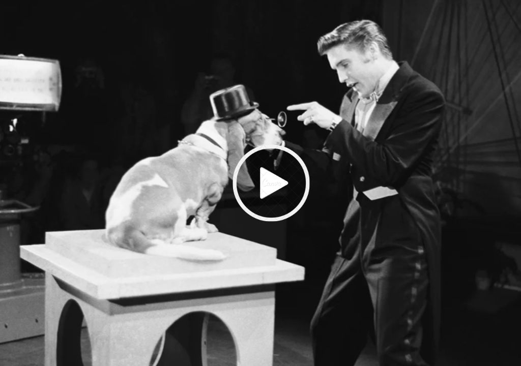 Elvis Presley – “Hound Dog”